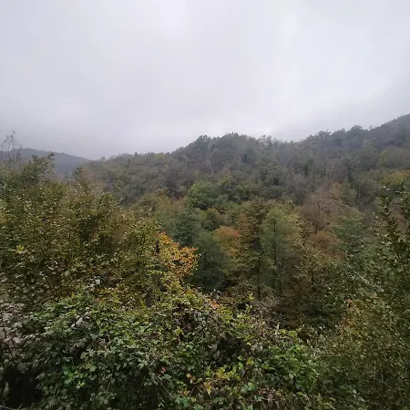 Idria 14 Couette-café Troina